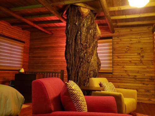 La Zenerchi La Zenerchi