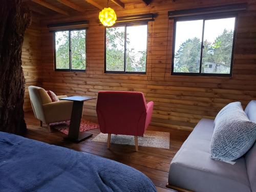 La Zenerchi La Zenerchi