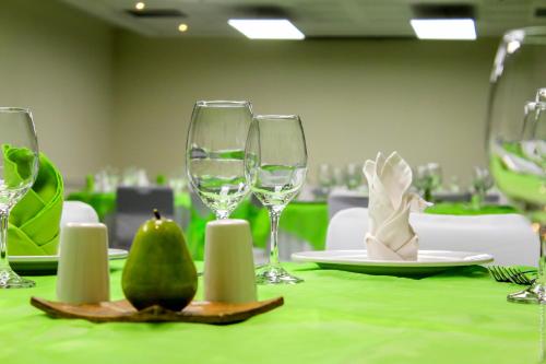 244283017 Holiday Inn Leon by IHG