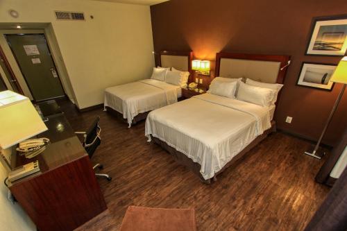 244283135 Holiday Inn Leon by IHG