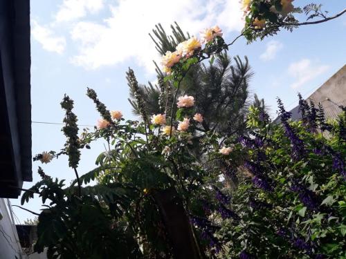 Chalet sueños del mar