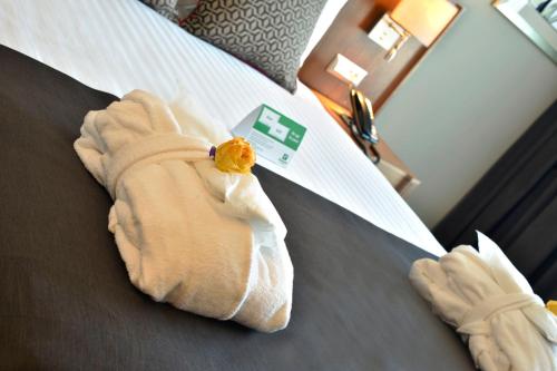 244311912 Holiday Inn Bursa - City Centre by IHG