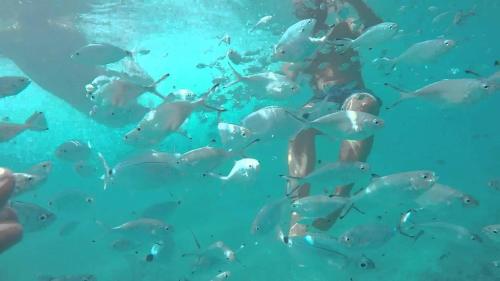 Hotel El Trebol in Carboneras