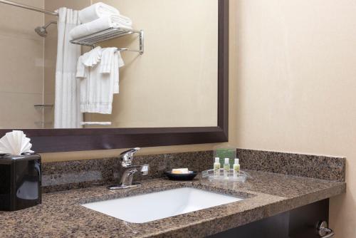 Holiday Inn Chicago - Elk Grove, an IHG Hotel