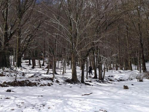 Apartaments Rural Montseny