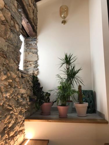 Studio Rural - image 9