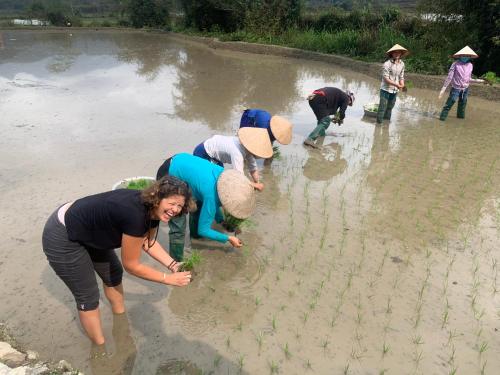 Be's Home & Tours – Ha Giang