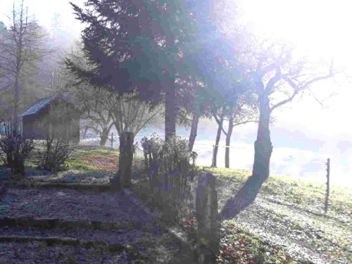 Ferienhaus Schwarzwald Seewald Erzgrube Badesee 100% Natur