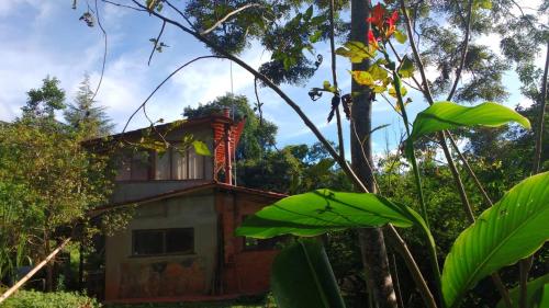 Canto do Jacarandá (Casa no Vale do Matutu)