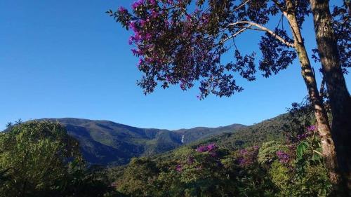 Canto do Jacarandá (Casa no Vale do Matutu)