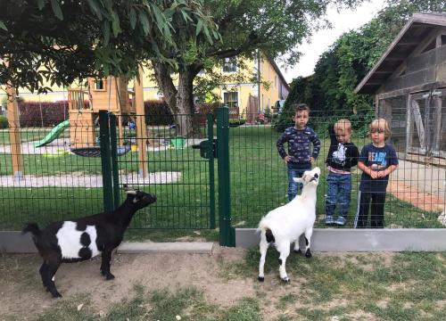 兹塔斯巴瓦农家乐 兹塔斯巴瓦农家乐