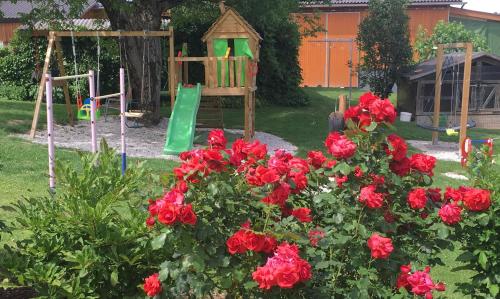 兹塔斯巴瓦农家乐 兹塔斯巴瓦农家乐