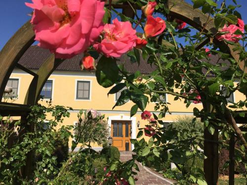 兹塔斯巴瓦农家乐 兹塔斯巴瓦农家乐