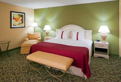 Holiday Inn Chantilly-Dulles Expo Airport an IHG Hotel - image 8