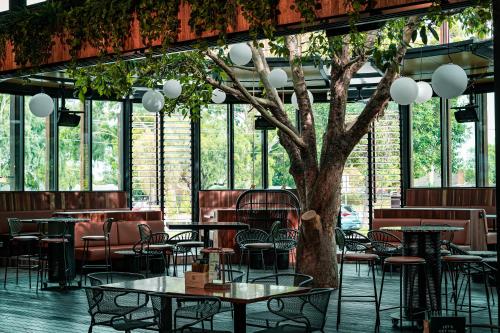 Pub/Lounge, Marion Hotel in Mitchell Park