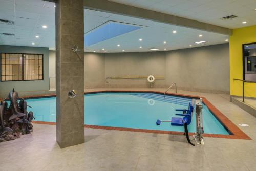 Holiday Inn Richardson an IHG Hotel - image 10