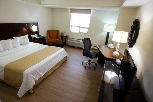 Best Western Centro Monterrey Room Type - King Room