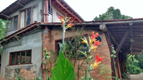 Canto do Jacarandá (Casa no Vale do Matutu)