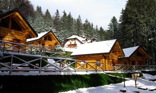 Green Village Ruševec - Apartment - Mariborsko Pohorje