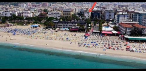 Kleopatra beach 1+1