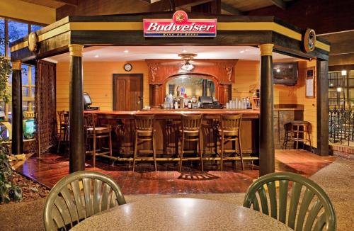 Holiday Inn At Six Flags Saint Louis an IHG Hotel - image 8