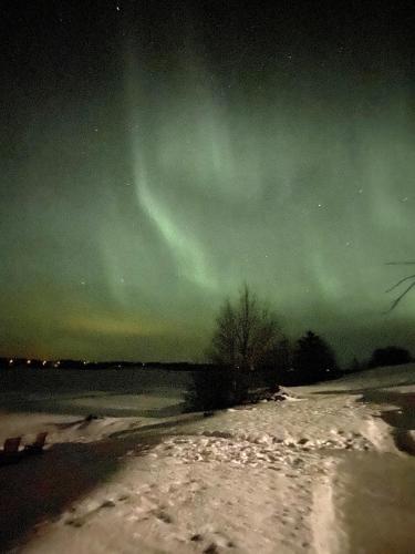 Riverside Cottage Aalto Borealis