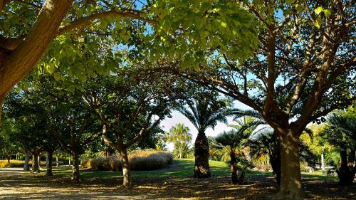 MyFlats Brisas del Sur - image 5