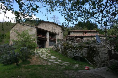 Podere Pian De' Cortini - image 12