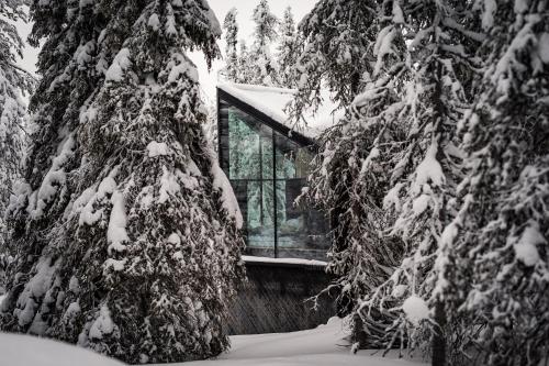 Magical Pond Nature Igloos