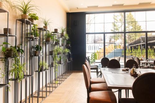 Hotel Nota - image 4