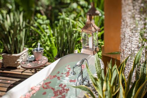 Oca Toca by Toca da Coruja