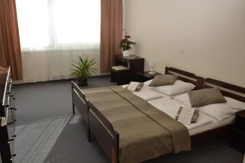 Volha – Prague, NY