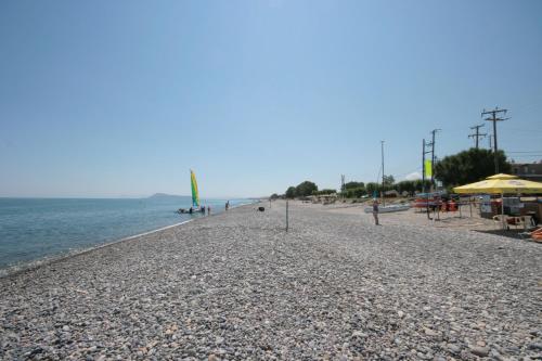 Castro Beach Hotel - image 5