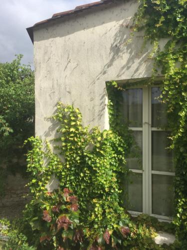 Deluxe Double Room with Garden View