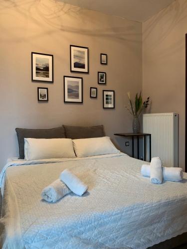 Discovery Villas Room Type - Superior Villa