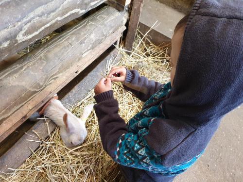 chalet à la ferme la doudou gîte à louer La Roche
