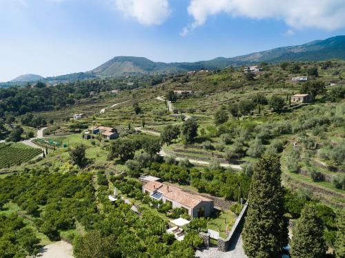 Monaci delle Terre Nere - image 2