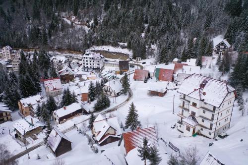Apartment Petrovic in Kopaonik