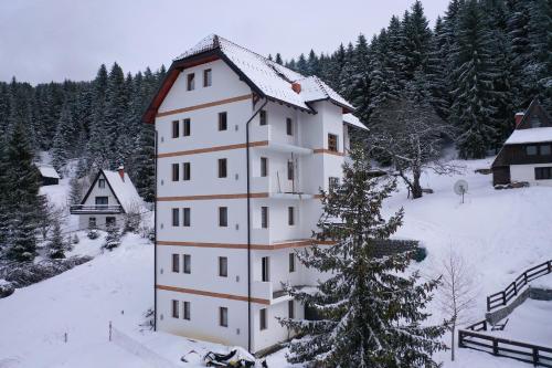 Apartment Petrovic in Kopaonik