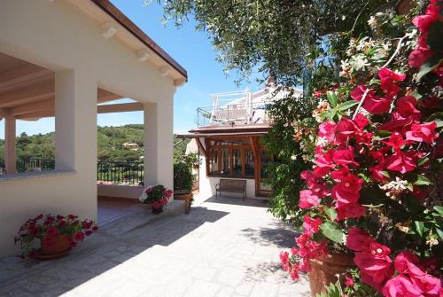 Hotel Alma in Campo nell'Elba