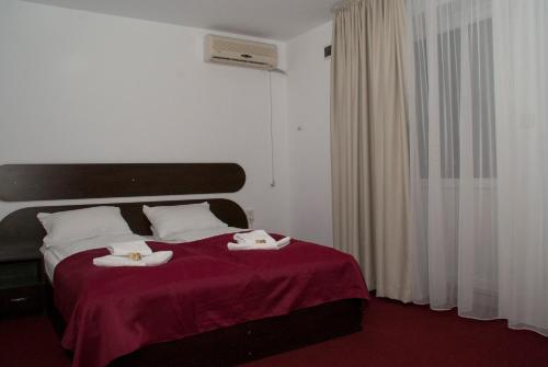 Pensiunea Otopeni - image 10