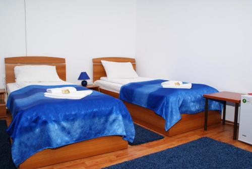 Pensiunea Otopeni - image 7