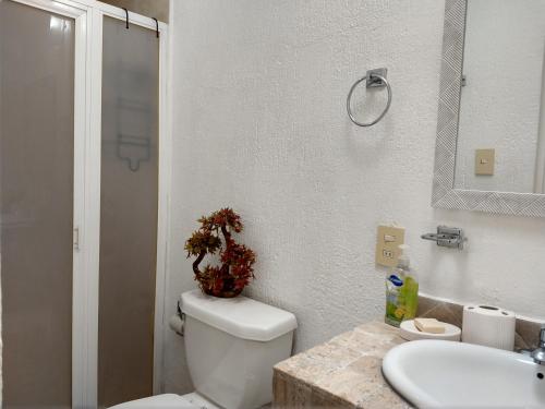 Residence Las Trojes Cdmx – Mexico City, ME