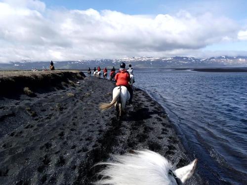 Húsey Hostel & Horsefarm