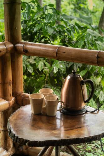 Rio Muchacho Organic Farm in Bahia De Caraquez