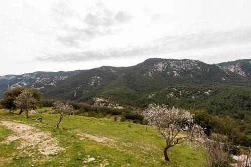 周邊環境, Casa Rural La Vinyeta in 貝尼法薩波布拉