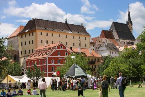 Hotel Mlýn - image 11