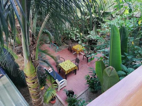 View, Hostal Oloncito in Olon