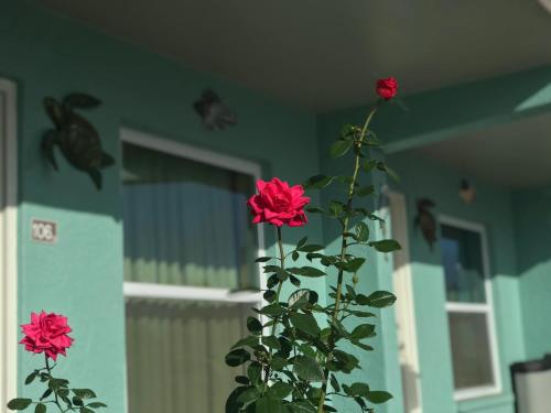 A szálláshely kívülről, Immokalee Inn in Immokalee (FL)