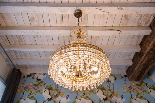  Alphabed & Bike in Gent